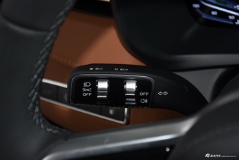 2024款红旗HQ9 PHEV 2.0T 四驱商务版